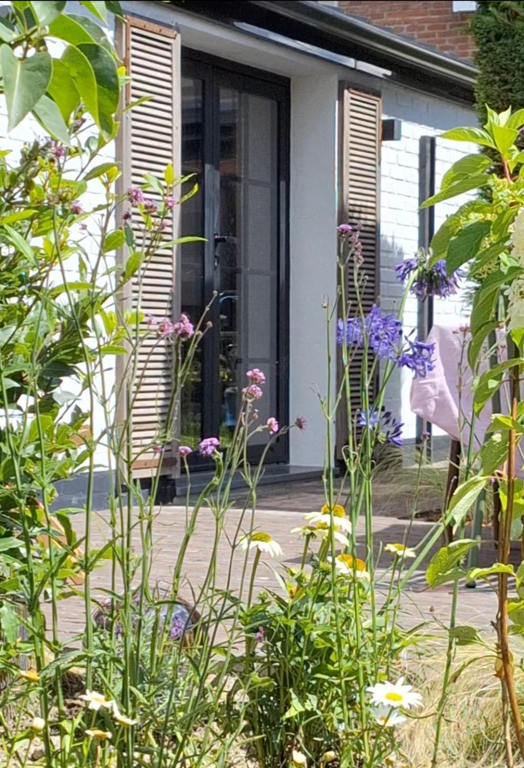 Maison Brunes Téteghem Zewnętrze zdjęcie